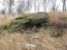 Novoveský les-kameny.jpg