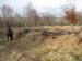 Novoveský les-tahání.jpg
